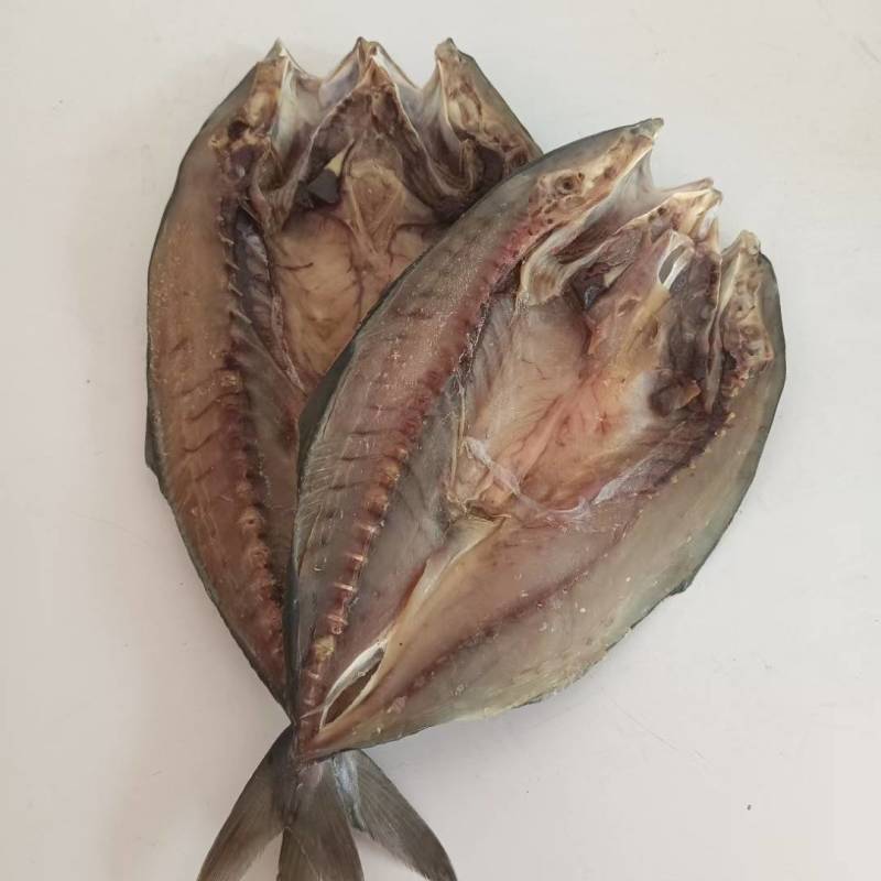 黄金鲅鱼，一款开背去内脏的咸鱼，现货批发零售