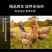 正宗麻椒鸡整只老母鸡手撕椒麻鸡真空包装开袋即食