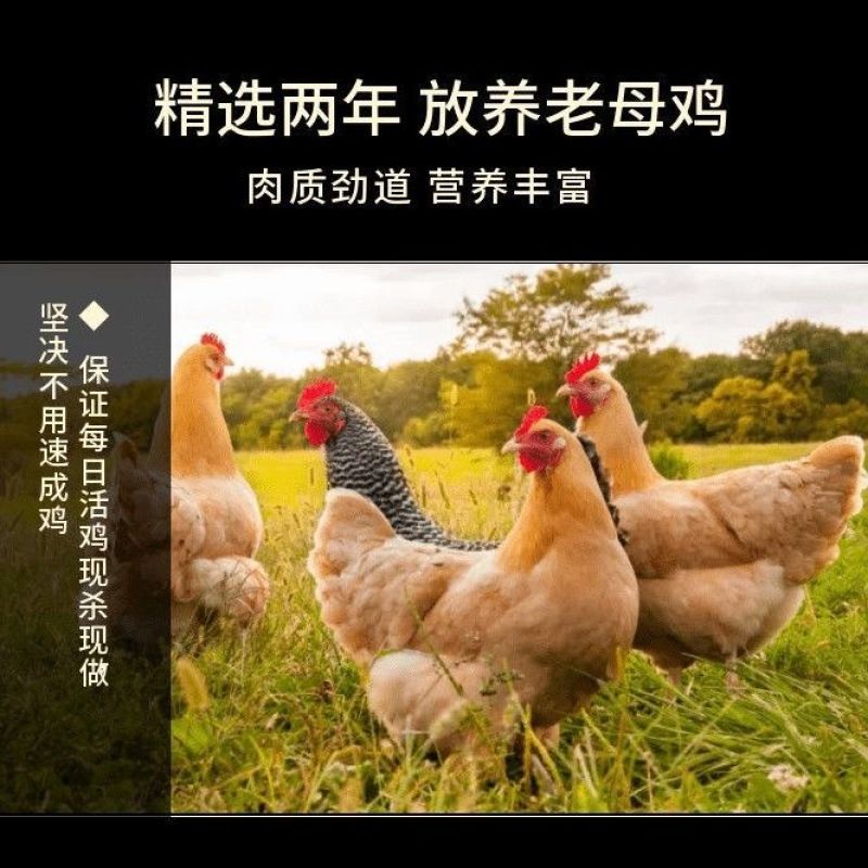 正宗麻椒鸡整只老母鸡手撕椒麻鸡真空包装开袋即食