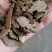 大量现货菜籽饼猪牛羊饲料菜籽饼量大从优