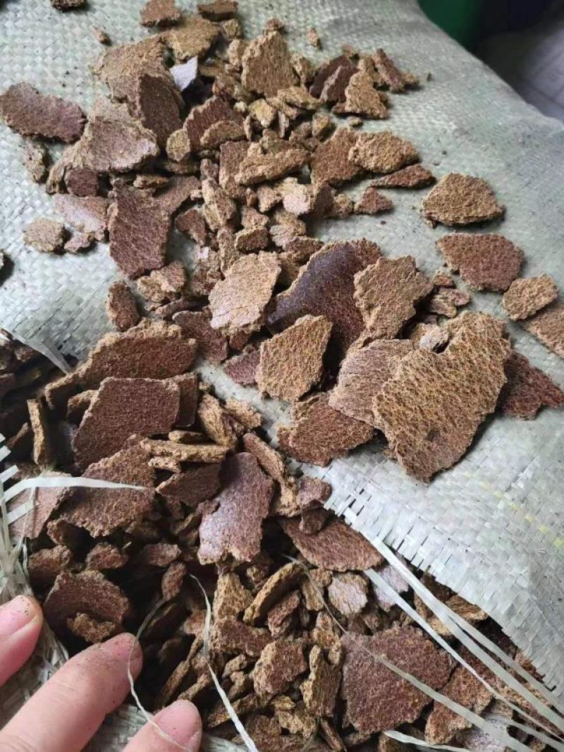 大量现货菜籽饼猪牛羊饲料菜籽饼量大从优