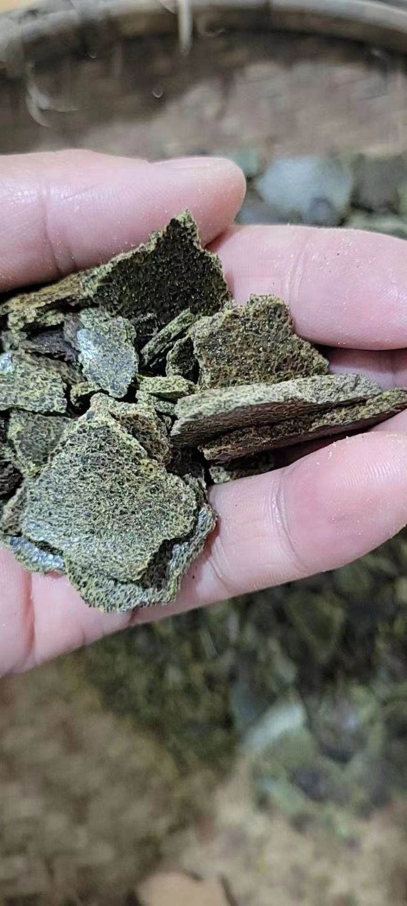 大量现货菜籽饼猪牛羊饲料菜籽饼量大从优
