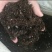 育苗基质花卉营养土瓜果蔬菜育苗专用草炭蛭石