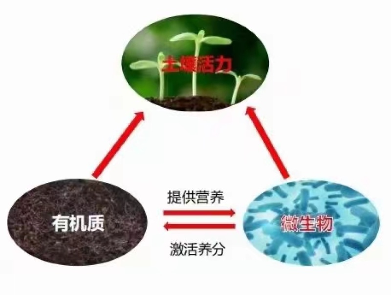 育苗基质花卉营养土瓜果蔬菜育苗专用草炭蛭石