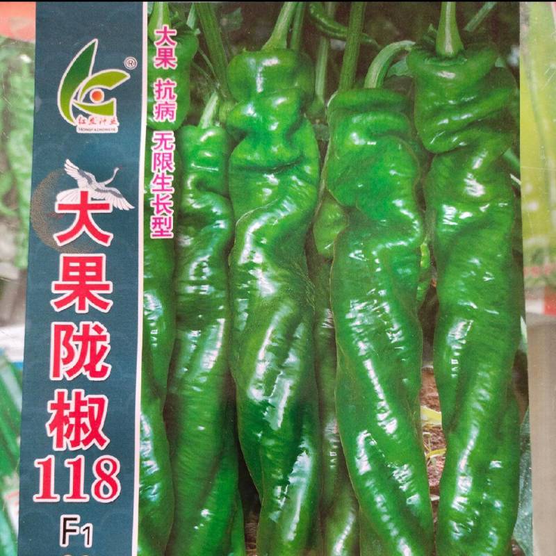 螺丝椒辣椒苗苗场直发欢迎采购日交易额破万量大从优