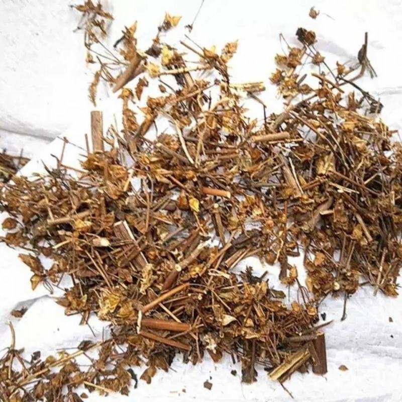 青叶胆干货青叶胆中药材欢迎选购！