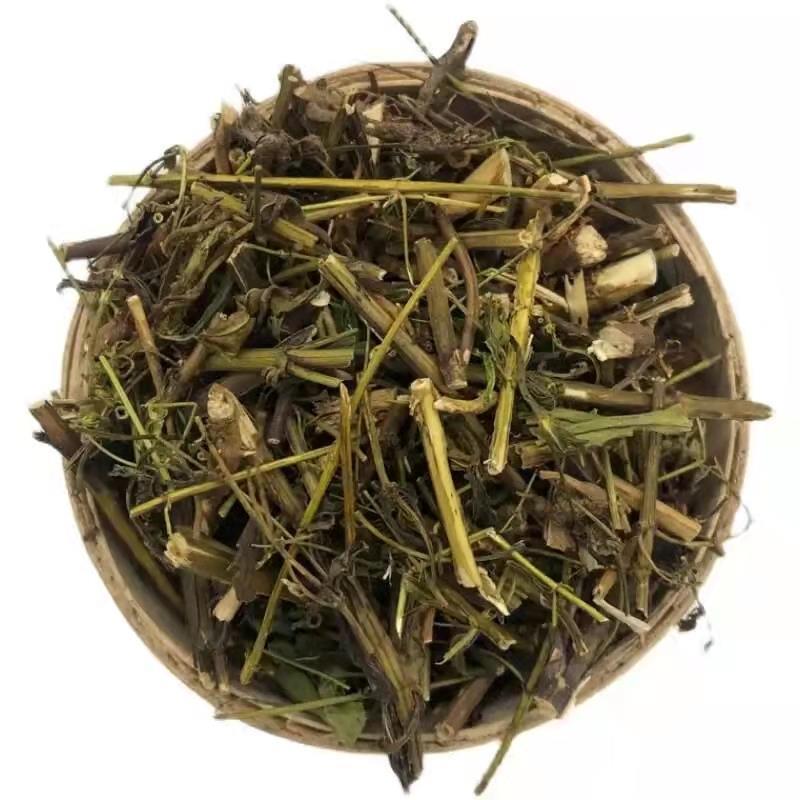 青叶胆干货青叶胆中药材欢迎选购！