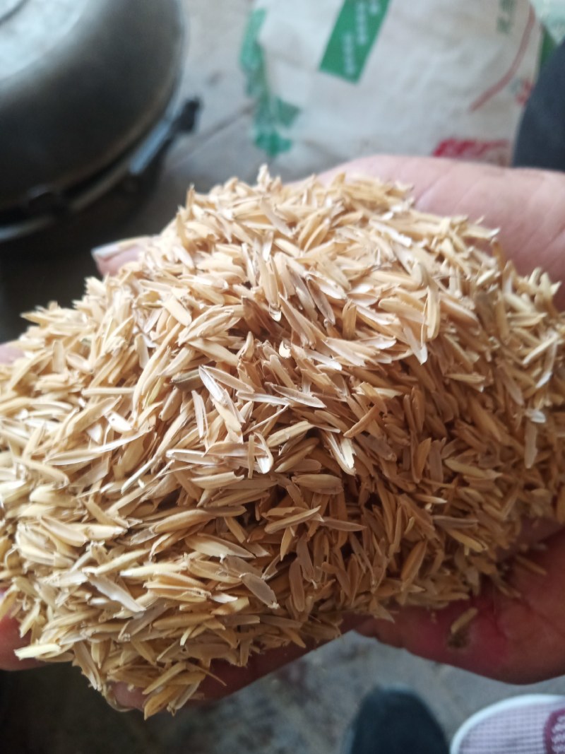河北鸡泽县稻壳，大量经营，诚信经营，欢迎多多采购