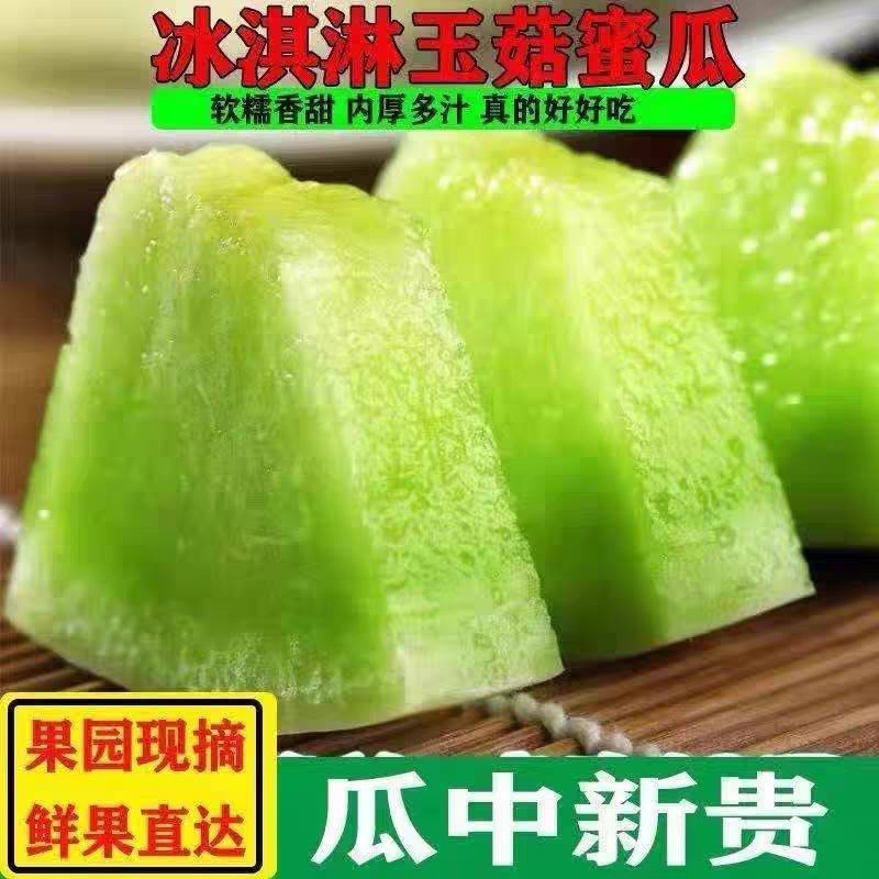 【牛商推荐】玉菇甜瓜2斤精品甜瓜基地发货欢迎实地考察