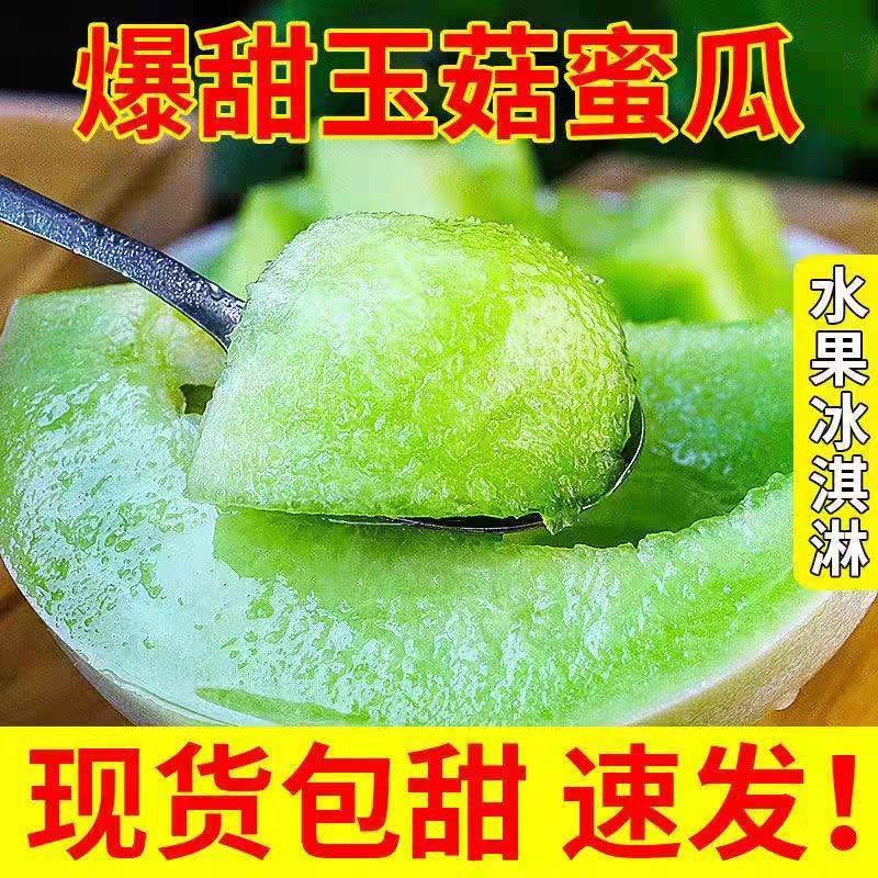 【牛商推荐】玉菇甜瓜2斤精品甜瓜基地发货欢迎实地考察