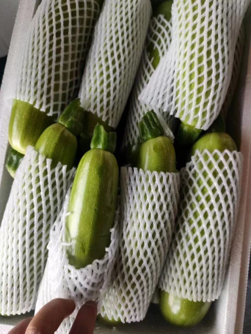 【精品】绿皮西葫芦，大量供应，对接电商平台，商超，美团。