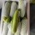 【精品】绿皮西葫芦，大量供应，对接电商平台，商超，美团。
