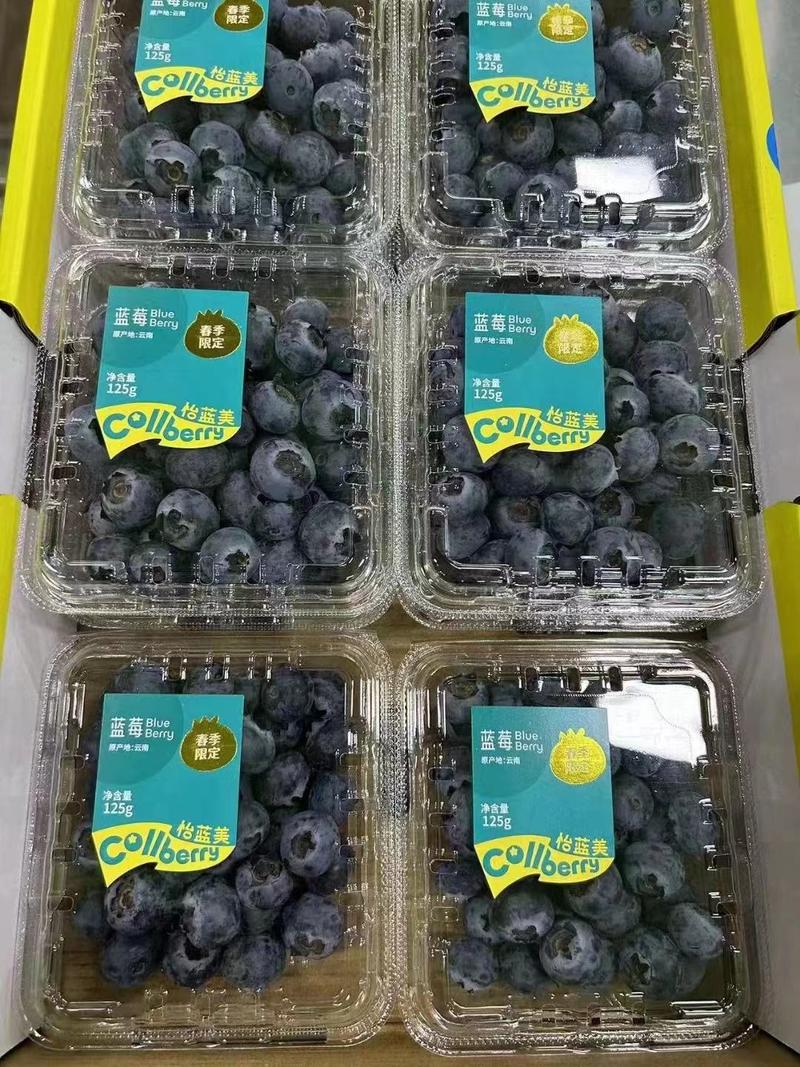 大棚蓝莓上市了，耐运输对接商超市场代发全国提供各类包装