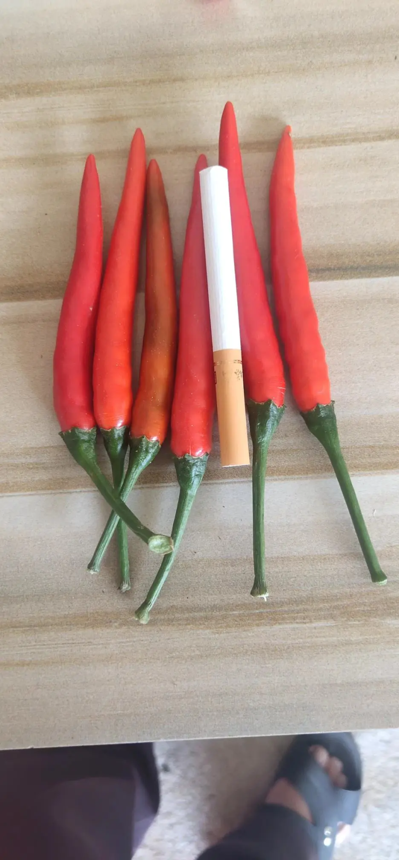 广西小米椒，朝天椒，大量上市，货源充足，质量保证