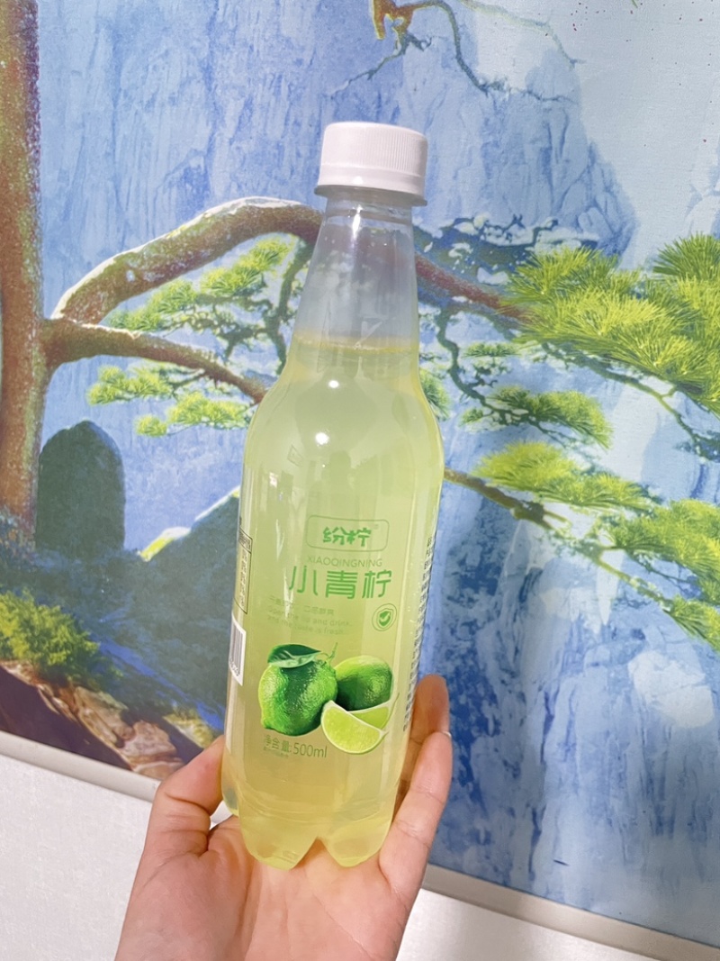 纷柠小青柠500mlX12瓶全国🉑️发货