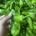 湛江鲜辣椒、炮王、芜湖椒、量大质优、货源充足