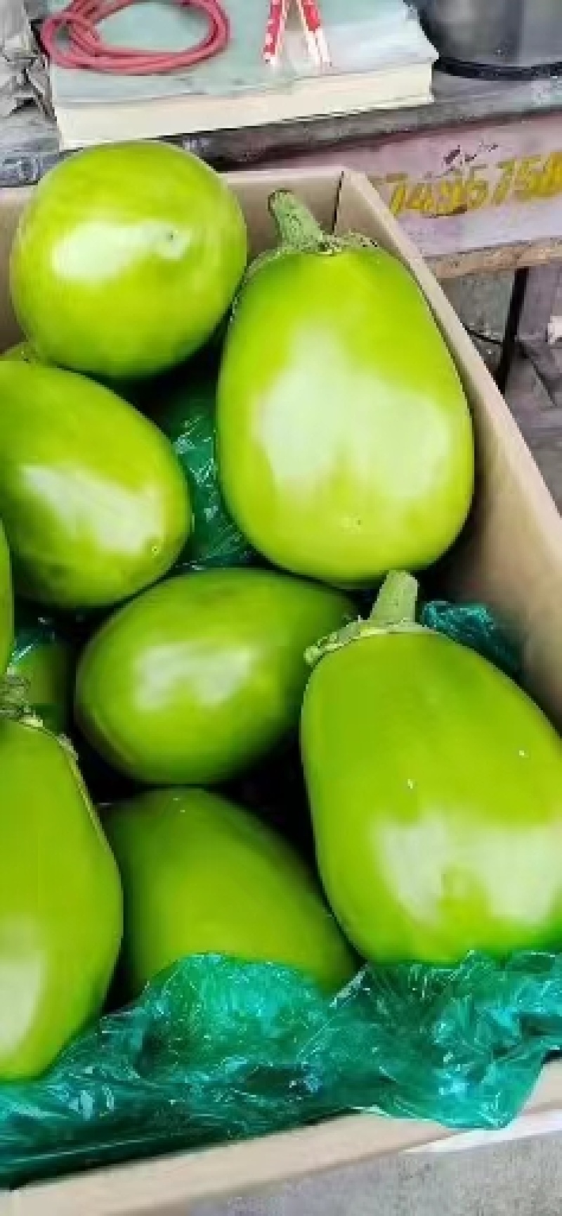 『牛』精品青茄子，大量上市中，支持全国代发，可视频看货