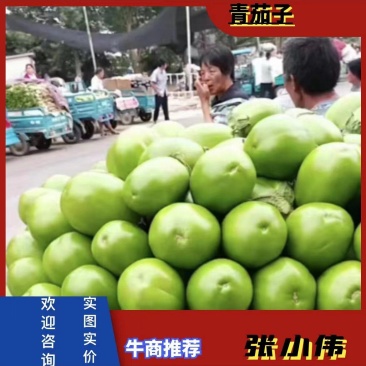 『牛』精品青茄子，大量上市中，支持全国代发，可视频看货