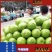 『牛』精品青茄子，大量上市中，支持全国代发，可视频看货