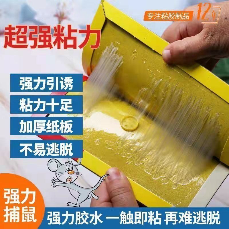 老鼠粘强力粘鼠板胶粘大老鼠一窝端捕老鼠贴克星家用加厚沾鼠