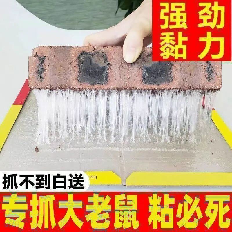 老鼠粘强力粘鼠板胶粘大老鼠一窝端捕老鼠贴克星家用加厚沾鼠
