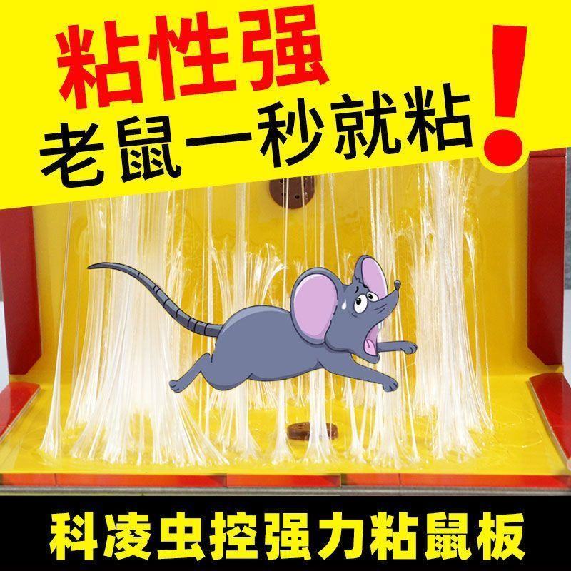老鼠粘强力粘鼠板胶粘大老鼠一窝端捕老鼠贴克星家用加厚沾鼠