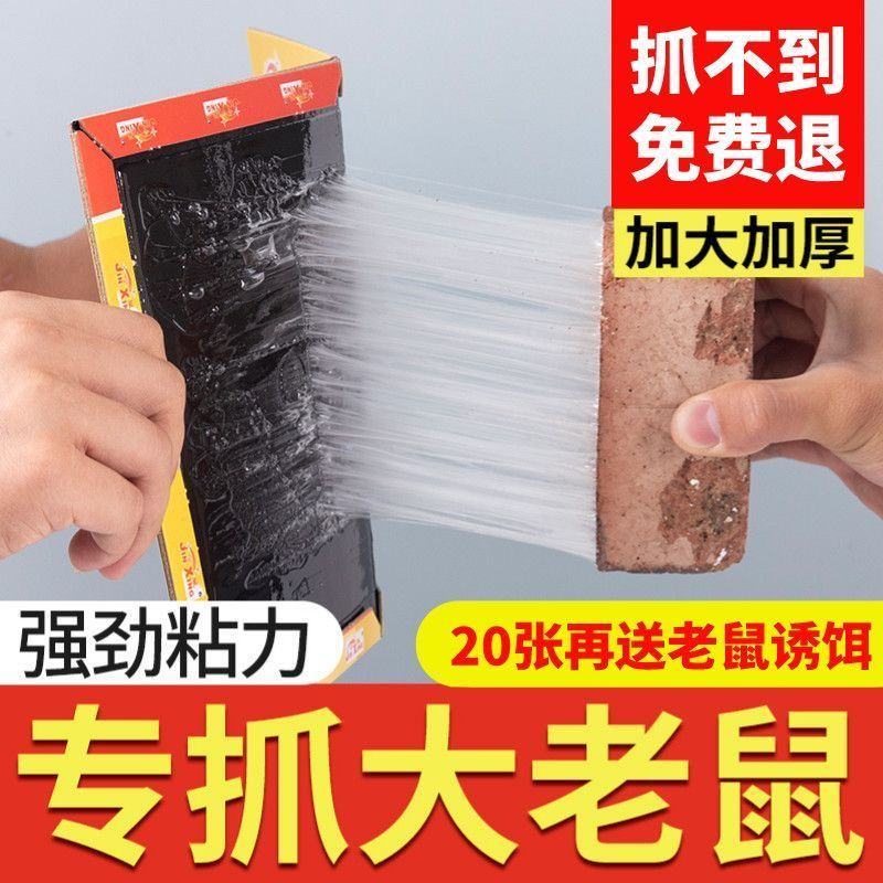 老鼠粘强力粘鼠板胶粘大老鼠一窝端捕老鼠贴克星家用加厚沾鼠