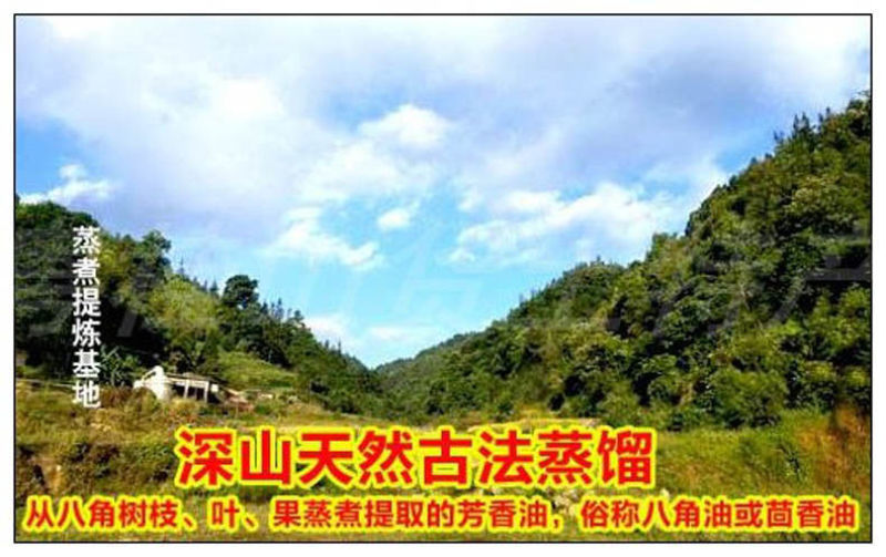 广西八角油茴香油500g包邮