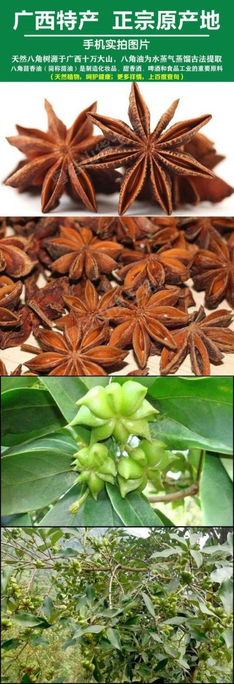 广西八角油茴香油500g包邮