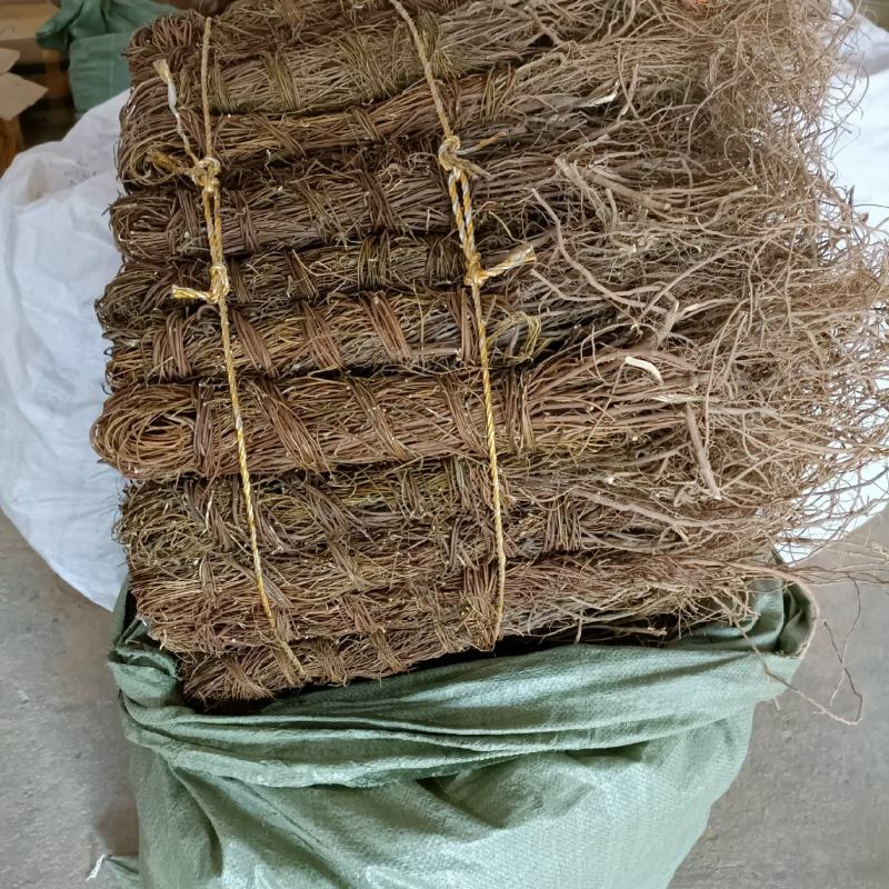 鸡骨草