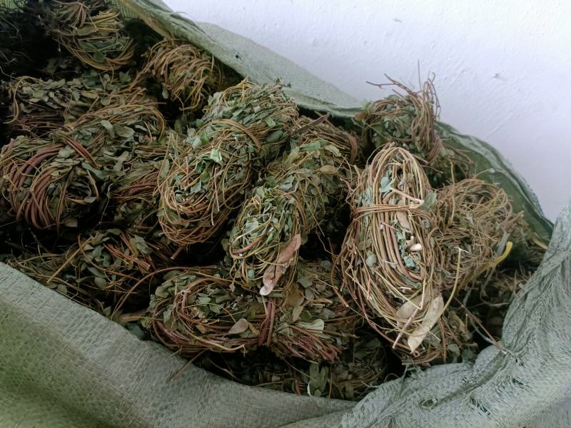 鸡骨草