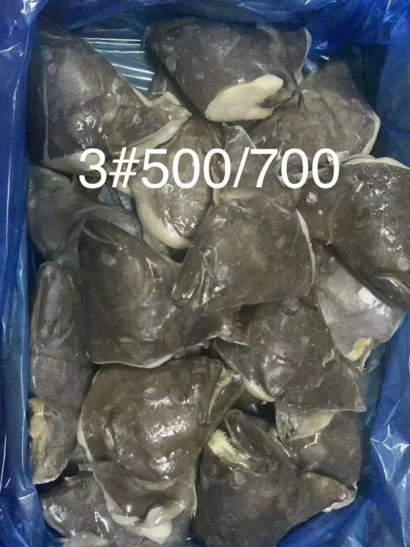 深海碟鱼头蝶鱼尾鸦片鱼头江苏海鲜水产批发鲽鱼