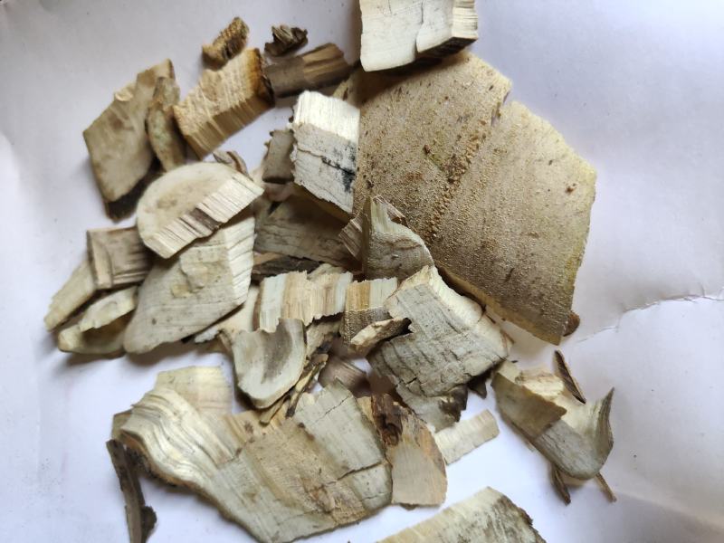 接骨木统货批发支持代发现货供应中药材批发