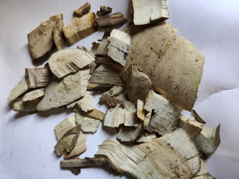 接骨木统货批发支持代发现货供应中药材批发