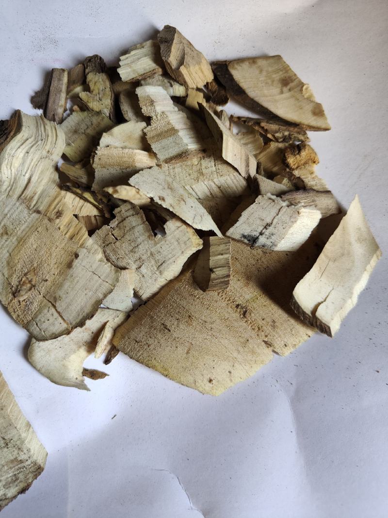 接骨木统货批发支持代发现货供应中药材批发