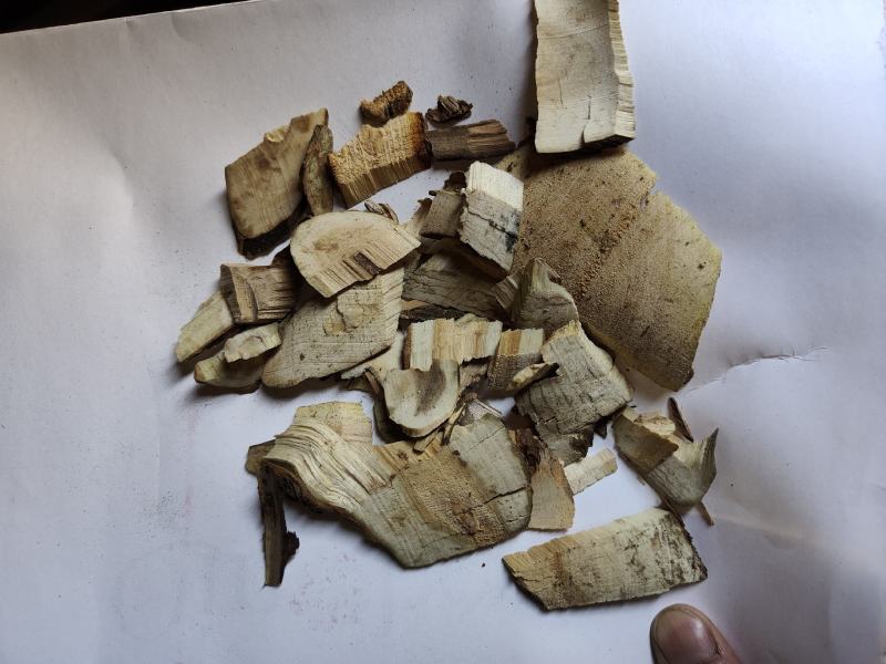 接骨木统货批发支持代发现货供应中药材批发