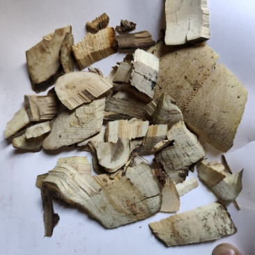 接骨木统货批发支持代发现货供应中药材批发