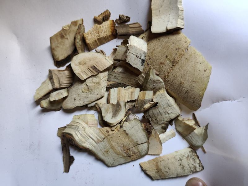 接骨木统货批发支持代发现货供应中药材批发