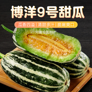 河南安阳内黄沙地博洋9号甜瓜瓜香四溢脆嫩多汁果园直采