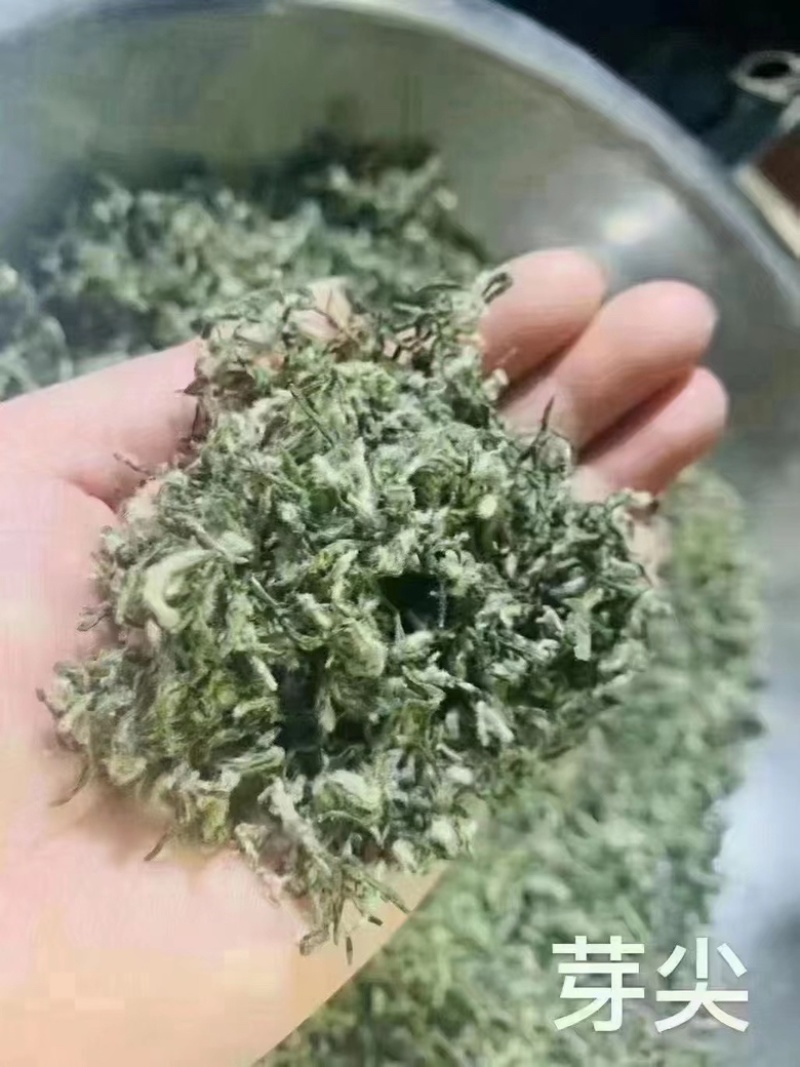 苏州东山碧螺春