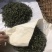 苏州东山碧螺春