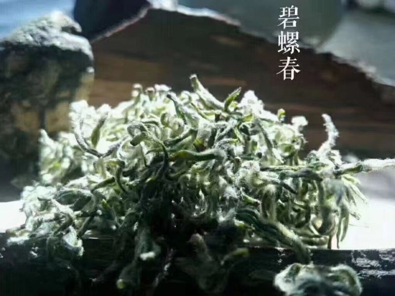 苏州东山碧螺春