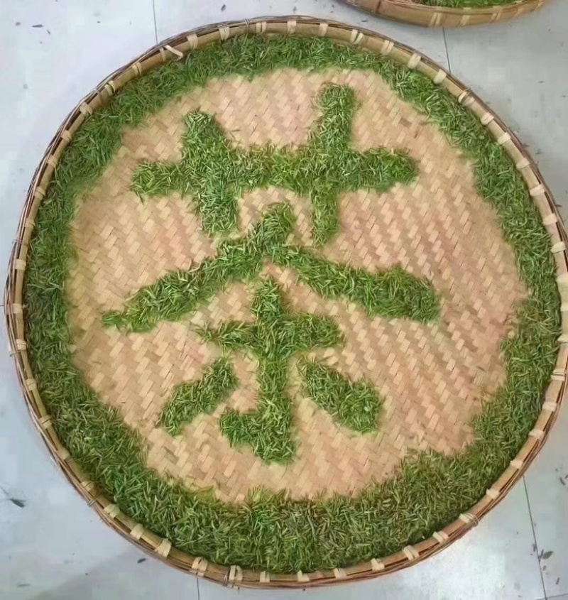 苏州东山碧螺春
