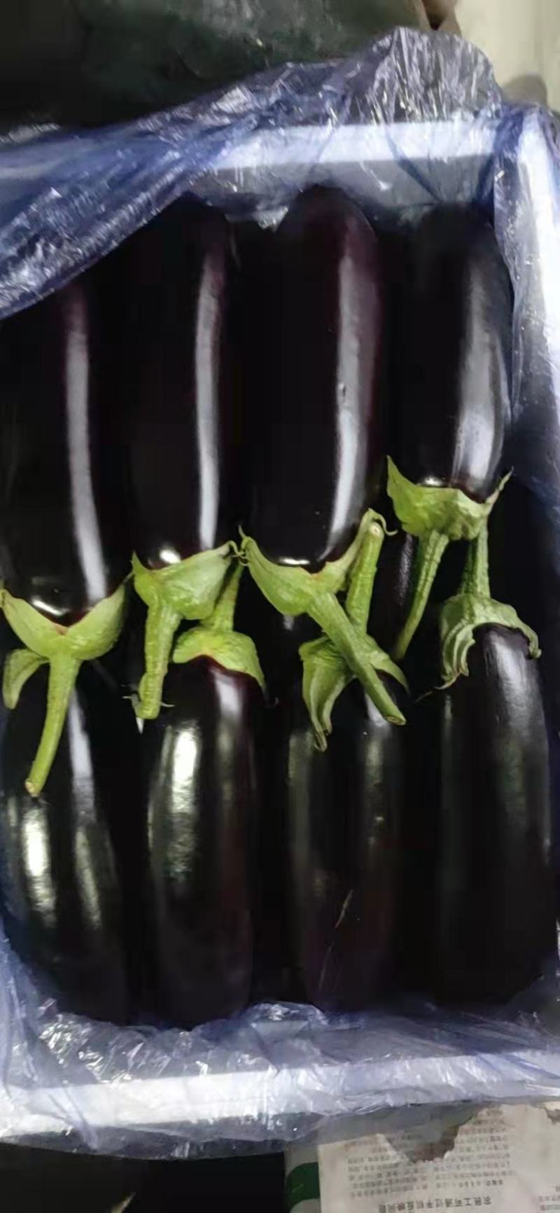 茄子，精品茄子，大量上市，对接电商，拼多多，美团烧烤转用