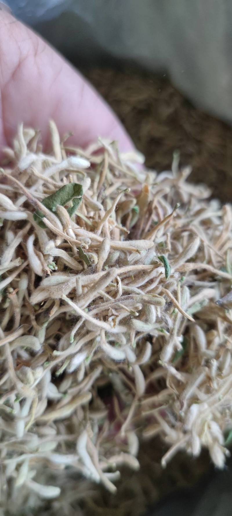 金银花双花二花自然凉晒批发零售各种中药材