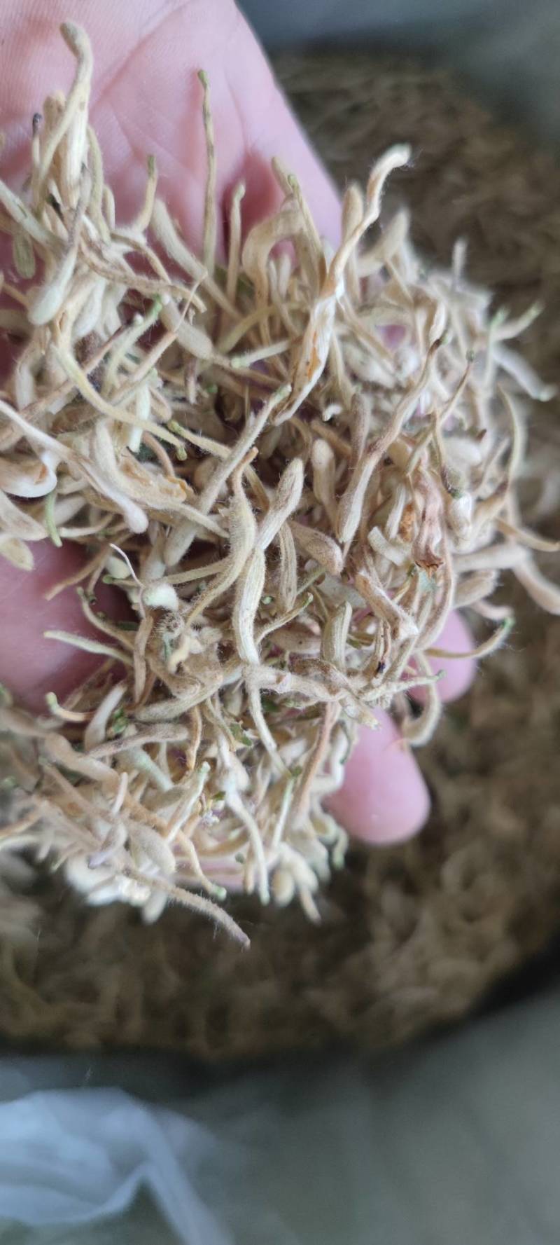 金银花双花二花自然凉晒批发零售各种中药材