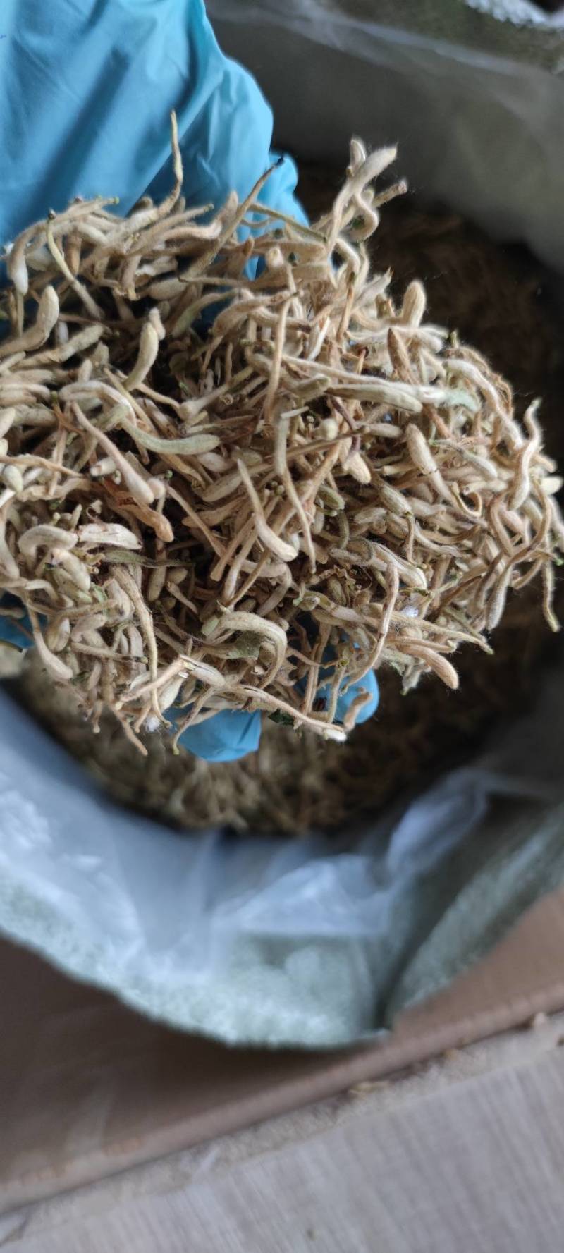 金银花双花二花自然凉晒批发零售各种中药材