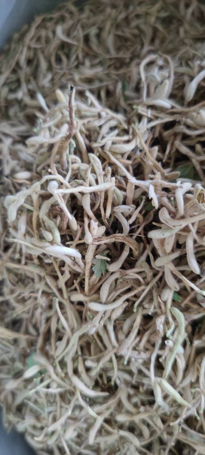 金银花双花二花自然凉晒批发零售各种中药材