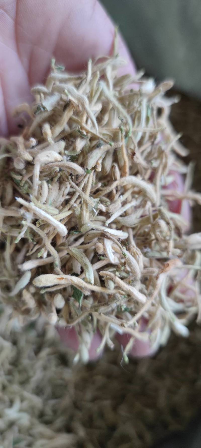 金银花双花二花自然凉晒批发零售各种中药材
