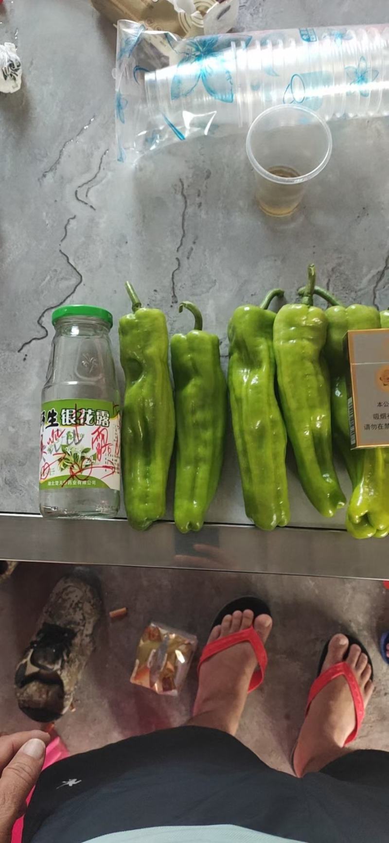 泡椒（泡王）、杭椒、螺丝椒～陇椒、小米椒等辣椒类